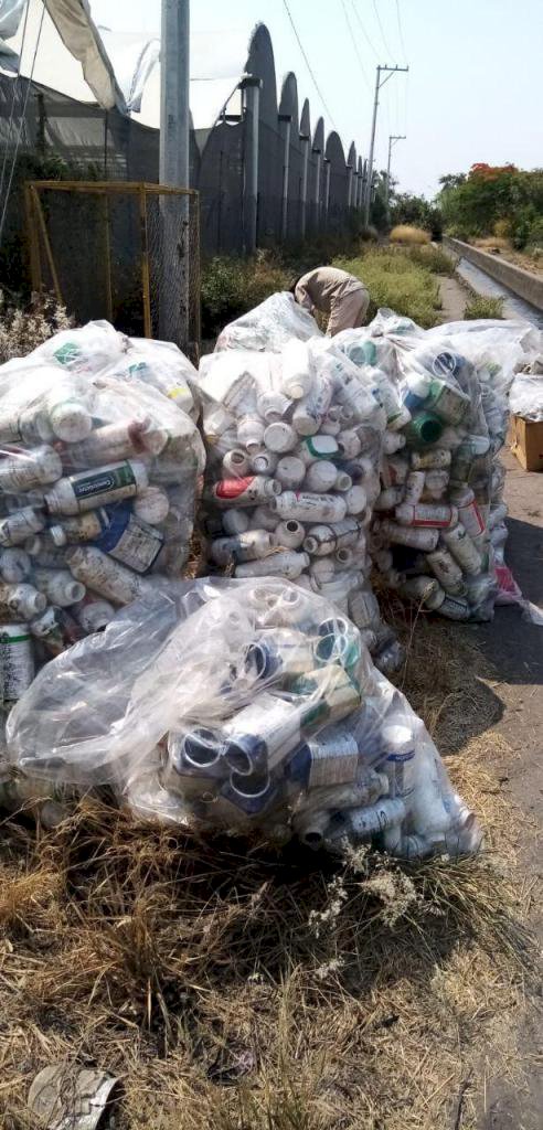 Hasta 6 mil 300 kilogramos de botellas de desecho  agroquímicos se recolectan en Cuautla
