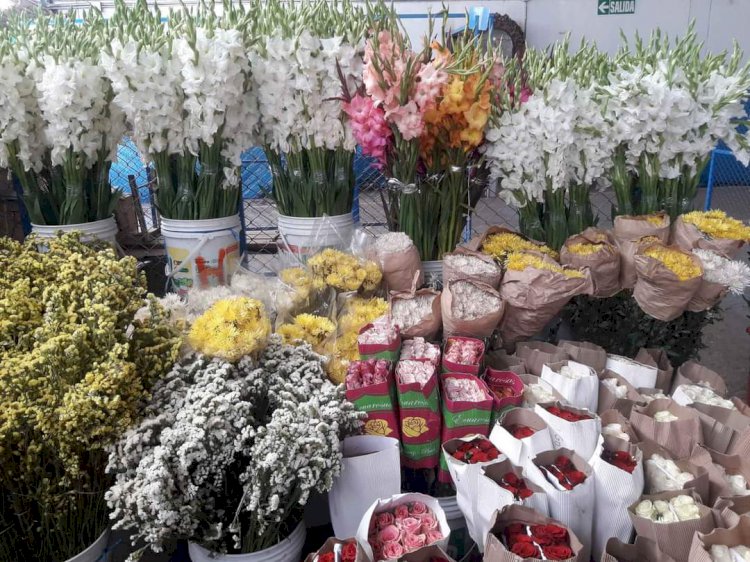 Vendedores de flores duplican precios de sus productos