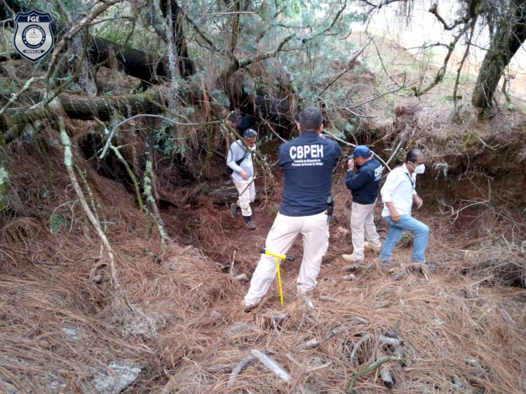 FGE participa en búsqueda  de no localizados en Hidalgo
