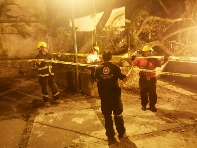 Protección Civil de Cuernavaca brindó apoyo por árboles caídos