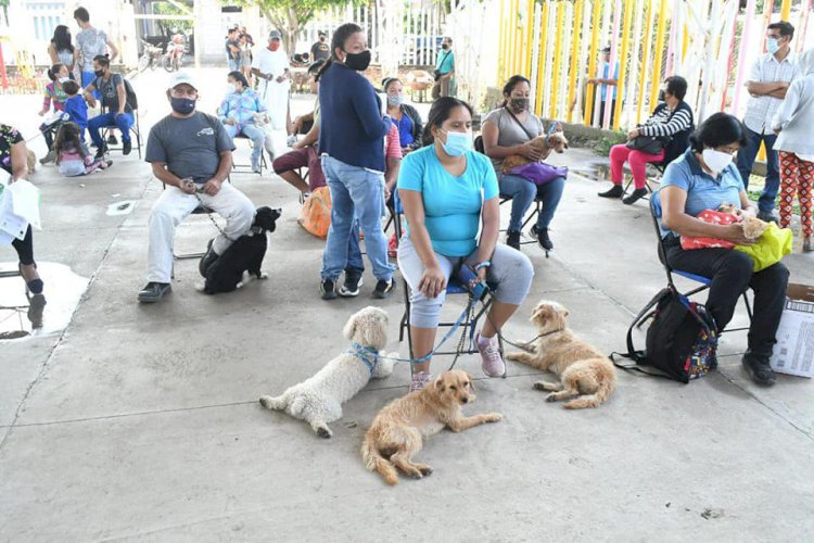 Se realizó en Cuautla 3ª  Feria Canina y Gatuna