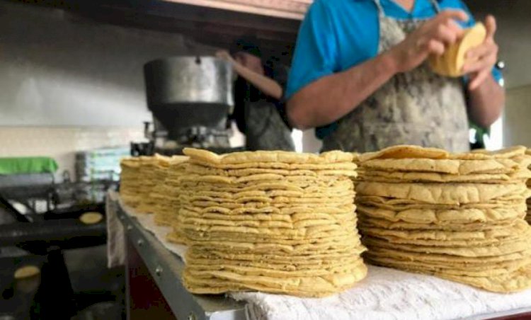 Aumentan sorpresivamente el precio  de la tortilla en la región sur-poniente