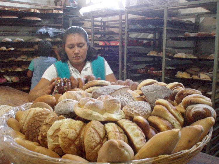 Incrementan el precio del pan  artesanal, bolillos y teleras
