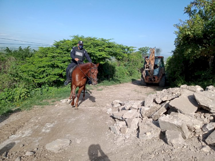Detectan camino de concreto irregular en la Sierra Monte Negro y la retiran