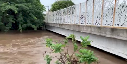 Causan problemas desbordamientos  de ríos y barrancas en la región sur