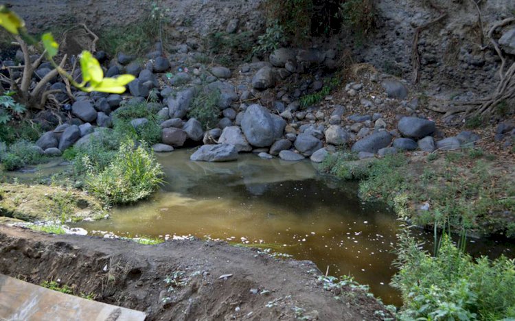 Analizan la calidad del agua del río Cuautla,  para determinar niveles de contaminación