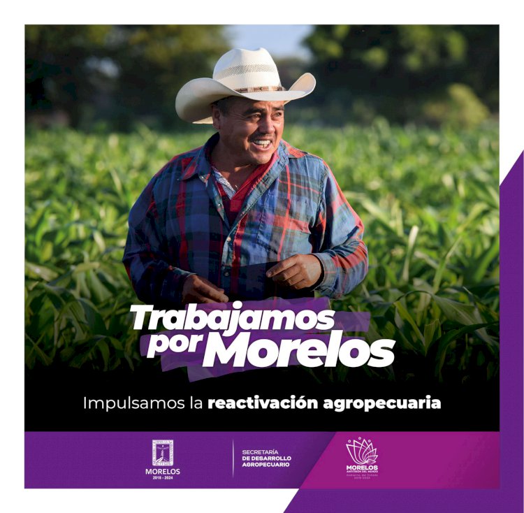 Fomenta gobierno de Cuauhtémoc Blanco el desarrollo agroalimentario
