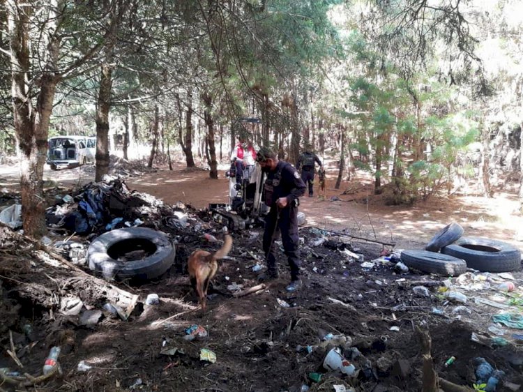 Comisiones de Búsqueda de Morelos y CDMX hallan restos humanos en Huitzilac