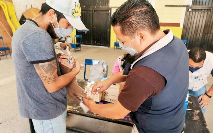 En Cuautla, hacen campaña  de vacunación contra la rabia