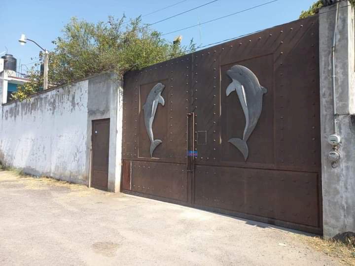 Aparecen 13 cuerpos en antiguo balneario Los Delfines de Yautepec