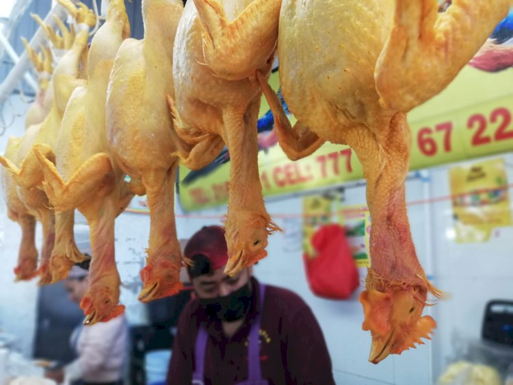 Por las nubes, el precio del pollo; ha subido más de un 50 por ciento