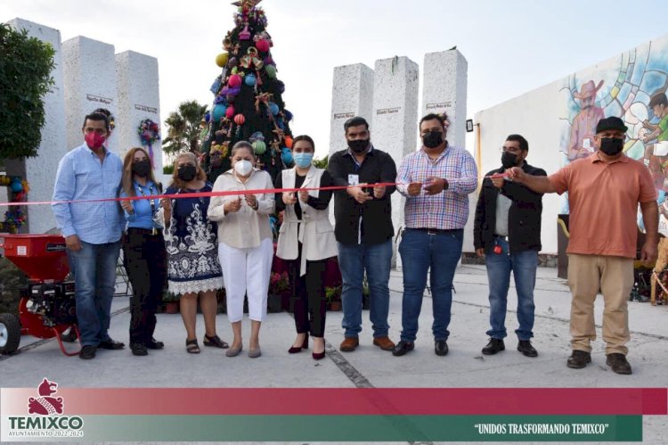 Arranca campaña para recolección  de árboles navideños en Temixco