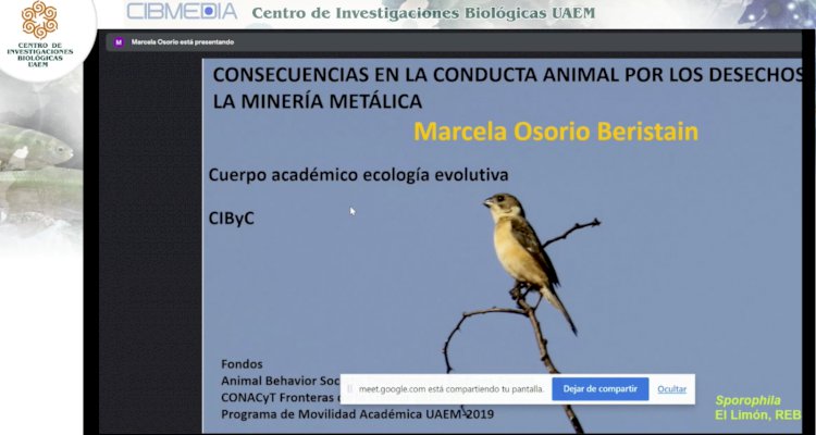 Bióloga de UAEM presentó trabajo  sobre daños en aves por polución