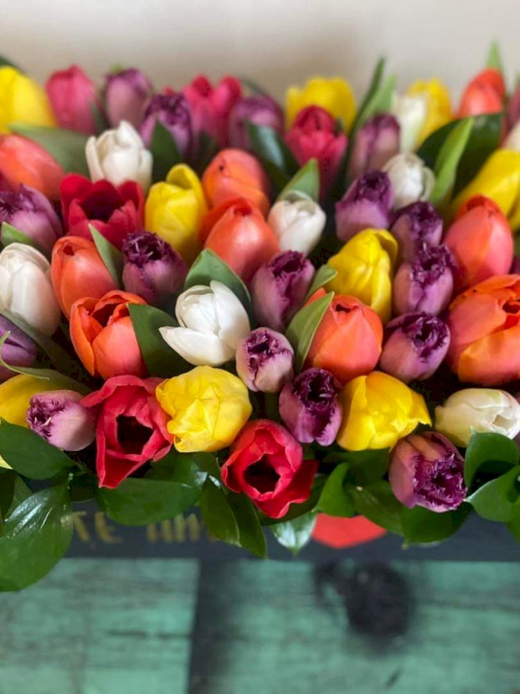 Productores de flores tienen fe en importante ingreso por San Valentín