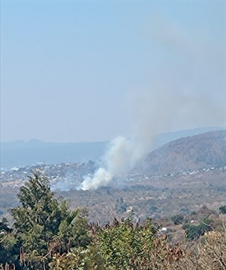 Quedaron sofocados tres incendios forestales