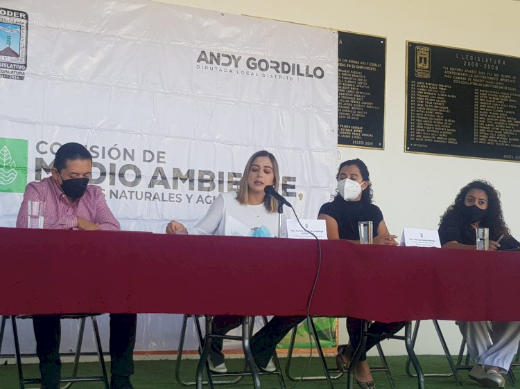 Emiten convocatoria para el Mérito Ambiental en Morelos 2022