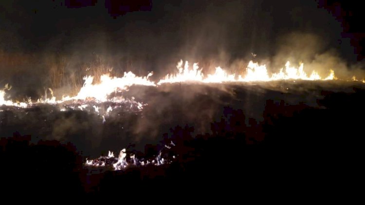 Golpean a Morelos en últimas horas 5 incendios forestales