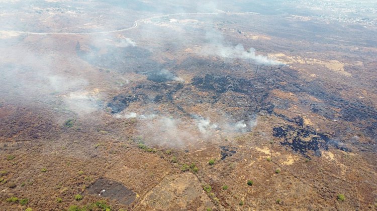 Más de 76 hectáreas, afectadas por incendios del fin de semana
