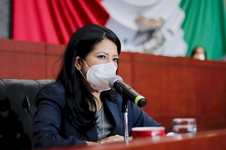 El IMPEPAC debe designar a diputado sustituto en el Congreso Local: Mirna Zavala