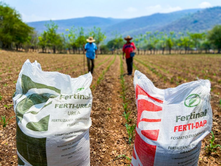 Altos precios de los fertilizantes afectarán la producción este año