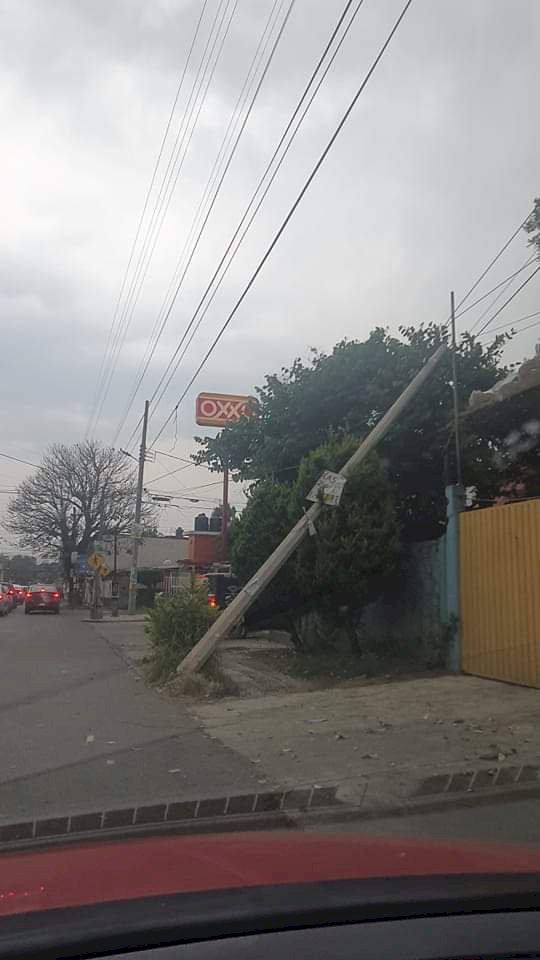 Vientos tumban árbol que cae sobre automóvil