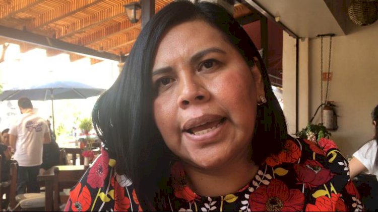 Impulsa Wendy Salinas iniciativa para  evitar uso de plásticos en Cuernavaca