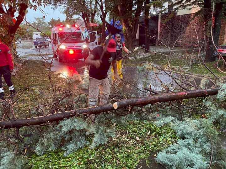Al menos, 15 árboles caídos por granizo y lluvia en Yautepec