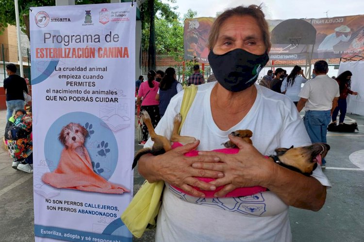 Un millar de mascotas,  esterilizado en Jiutepec