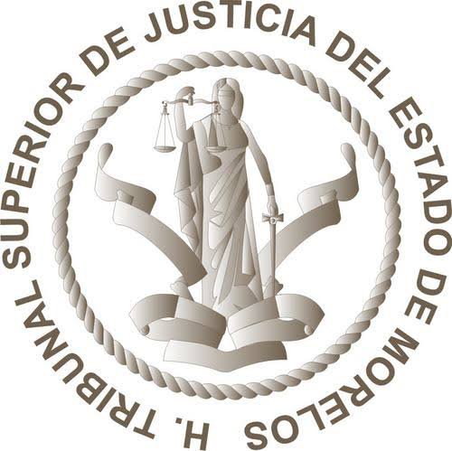 Molestos por restricción en el TSJ, abogados se ampararán